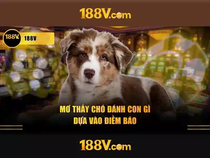 Giải Pháp Vào Slot Đa Dạng An Toàn Và Chất Lượng Cao