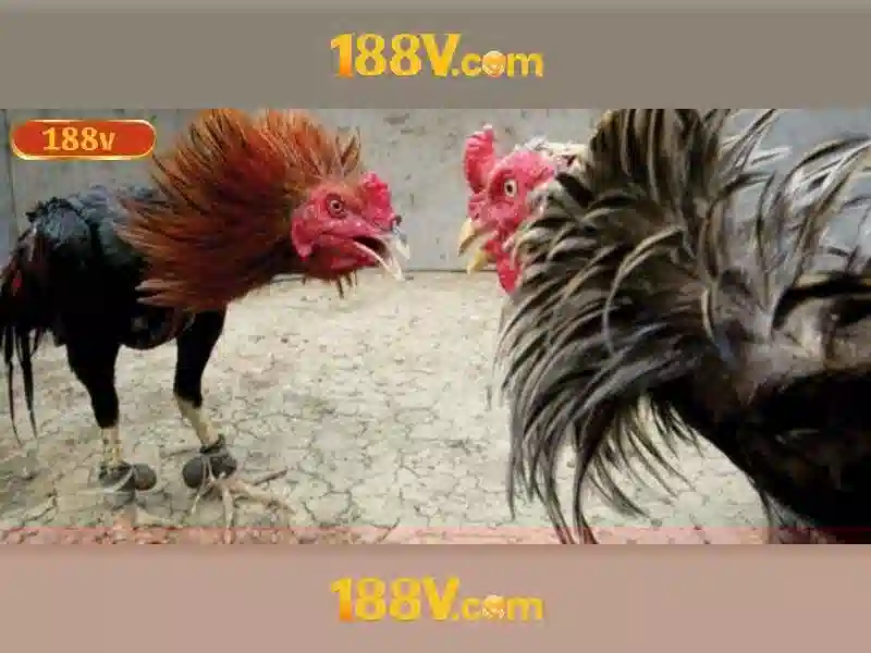Hướng dẫn rút tiền 188v