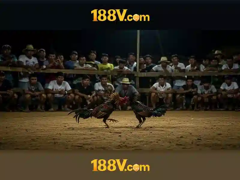 Ưu Đãi 188v