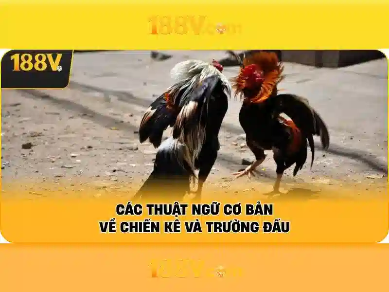 188V No Hu