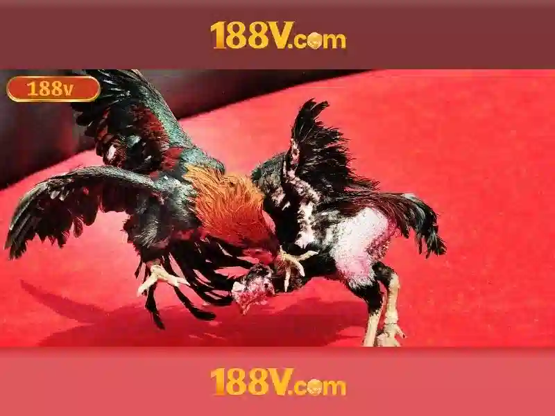 Trải nghiệm cá cược thể thao 188v