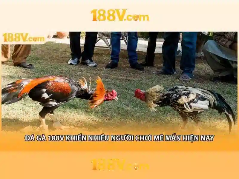 Tải App 188V