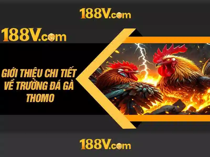 Chương Trình Ưu Đãi Độc Quyền Cho Thành Viên 188V