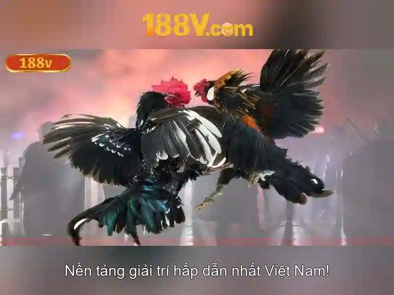 xổ số 188v