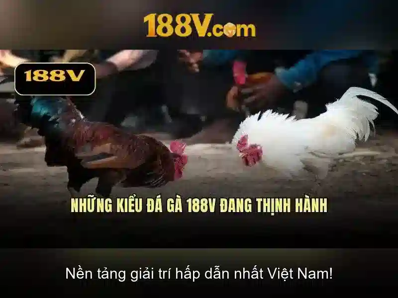 Hướng Dẫn Đăng Nhập 188V