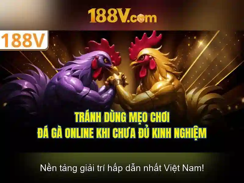 Hướng Dẫn 188v Chính Thức