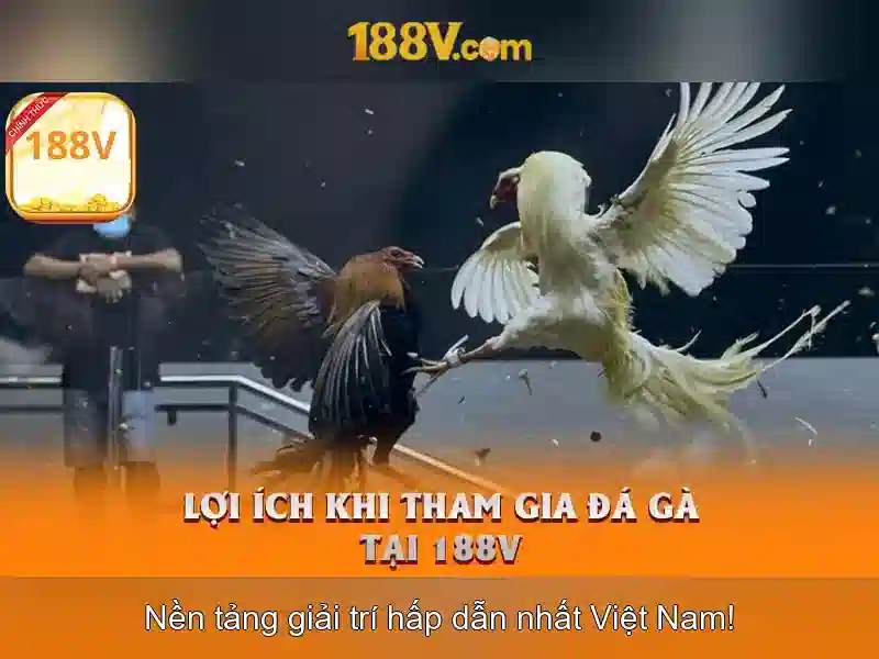Cá Cược Thể Thao 188v