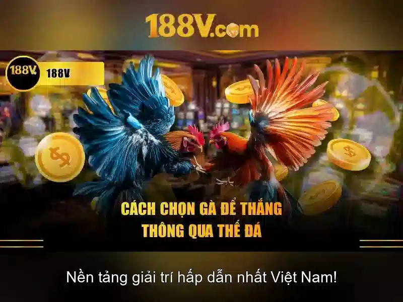 Khuyến Mãi Độc Quyền Cho Thành Viên 188V