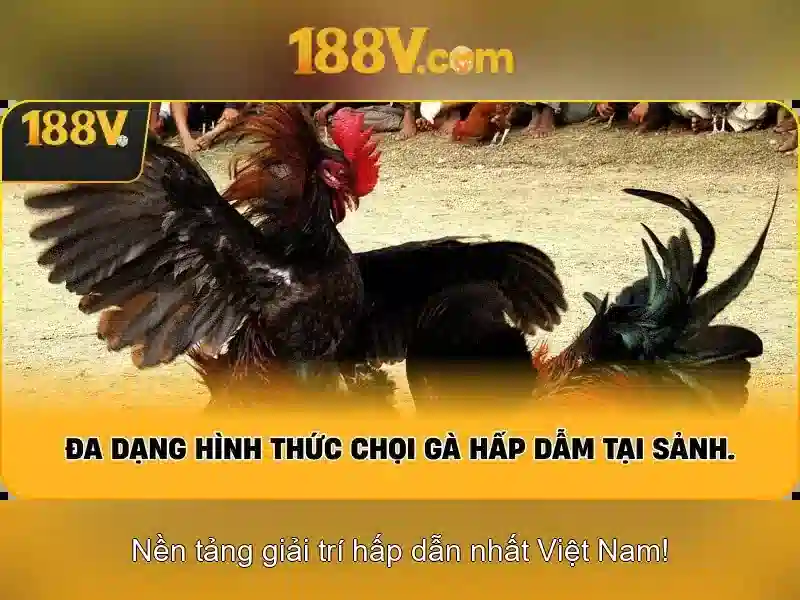 Hướng dẫn chơi slot