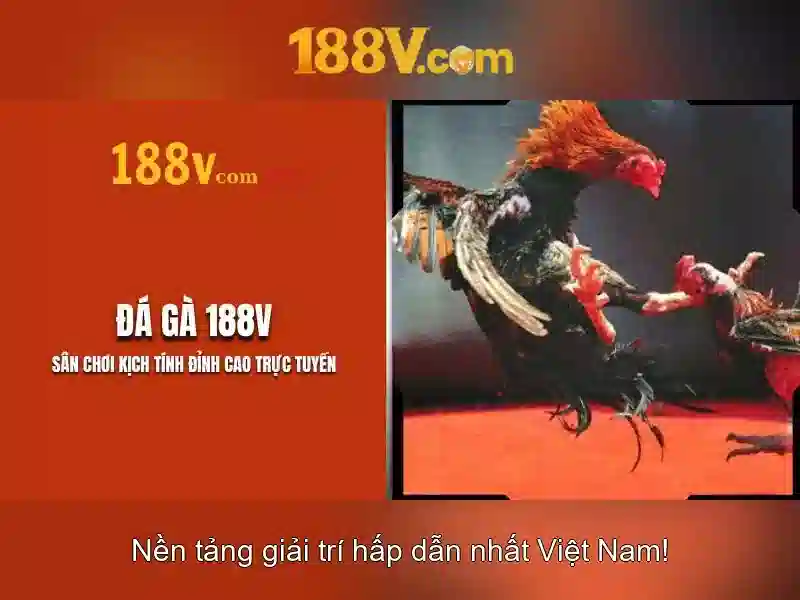 Bảo Mật Đăng Nhập